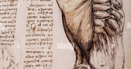Bruno 1509