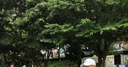 주영후