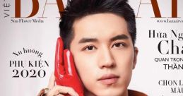Việt Trịnh