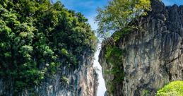 Koh Hong Ming