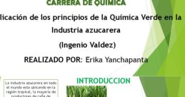 Erika Yanchapanta