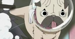 Saru