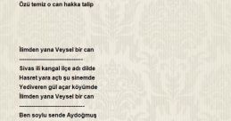 Veysel Can