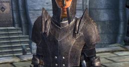 Imperial Guard (Elder Scrolls)