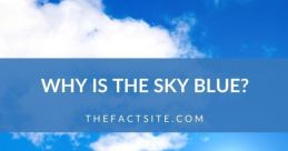 Whyly_Sky