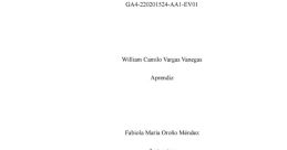 Wilian vargas romero
