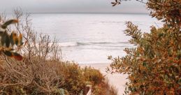 Carmel