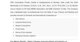 NPA consultants from NPA consultants. #podcast #speech #speechsynthesizer #narration #monologue #femalespeech #clicking