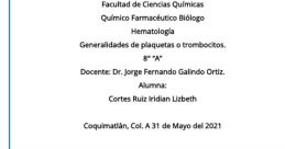 Iridian Barrientos Cortes