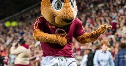 Maties