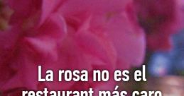 Caro delima