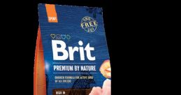Brit