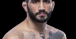 Gabrielsalvi