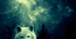ItsStorm_wolf