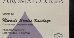 Marcelo B Santiago