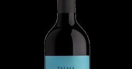 Tygo Talma