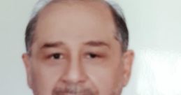 Mohammadreza safinoor