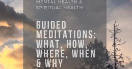 WSY Meditations