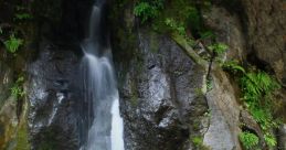 Ellwa