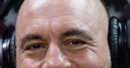 Joe Rogan (Version 2.0)
