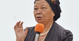Huafan Du speaking at a conference, sharing insights on culture and community engagement with an audience.