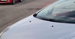 Test Model 307
