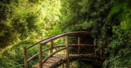 INTRODUCTION TO A PEACEFUL PLACE