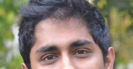 Siddharth Parnam