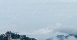 Shimla