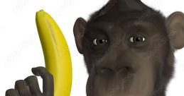MrMonke