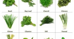 Herb
