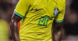 Vini fernandes