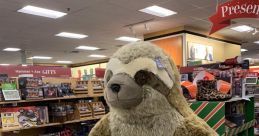 Matthew Silvestro (Sloth_Boi)