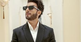 Ranveer Gaur