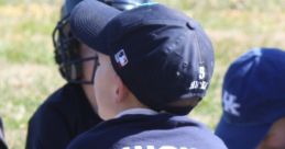 Steve Hicks Baseball