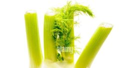 Kelwen TUBER