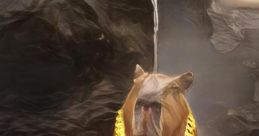 RichCapybara472