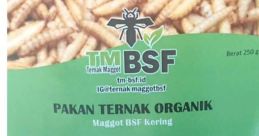 Maggot Butter