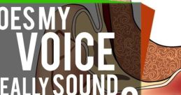 My voice