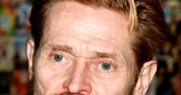 Willem from willem. #speech #radio #sidetone #chewing #mastication #fowl #femalespeech #groan #sigh #inside #smallroom #