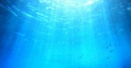 MER
