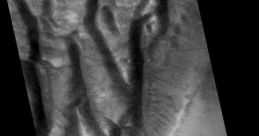 Marte Torfs from Marte Torfs. # #singing #sitar #speech #effect #malespeech #videogame #background #breakup #love