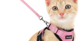 Cat Leah