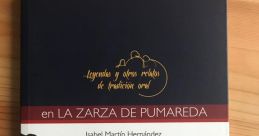 Lluc Pumareda Dorrego