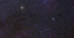 Orius Orion