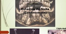 Aden nolla