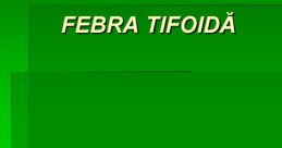 Febra71 from Febra71. #sample #speech #femalespeech #womanspeaking #silence #narration #meow #cat # #guitar #alinstrument