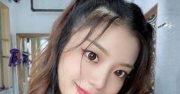Ripa sumi