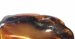 Ambre