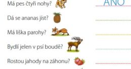 Čtení